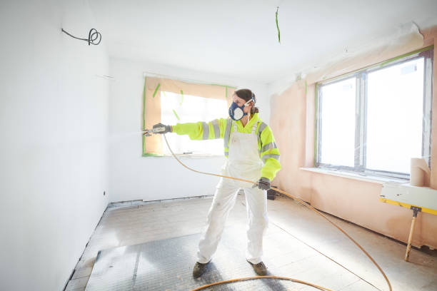 Best Asbestos and Lead Testing During Mold Inspection  in Hummelstown, PA